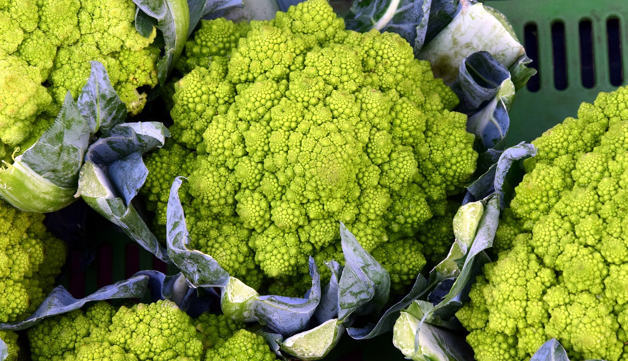 Best Tips for Growing Cauliflower in Your Garden